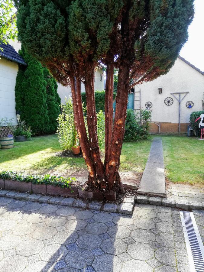 Ferienappartement Obrigheim Mosbach  Exterior photo