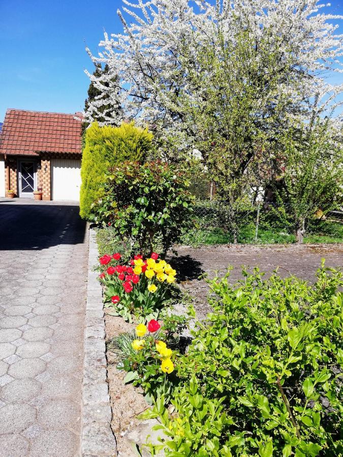 Ferienappartement Obrigheim Mosbach  Exterior photo